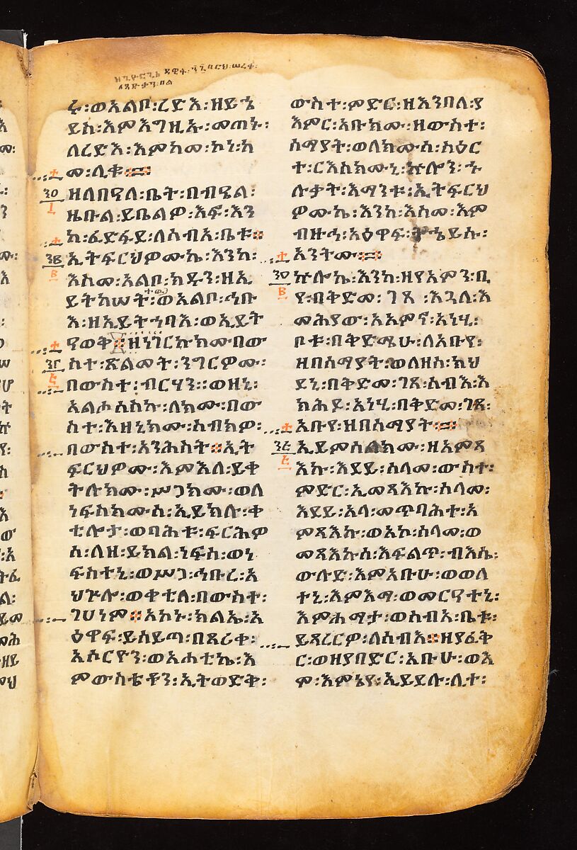 Book of the Gospels, Northern Highlands artist, Parchment (vellum), acacia wood, tempera, ink