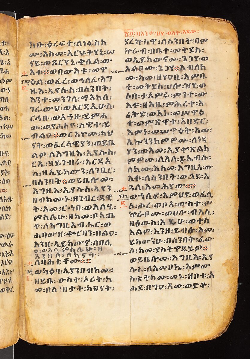 Book of the Gospels, Northern Highlands artist, Parchment (vellum), acacia wood, tempera, ink