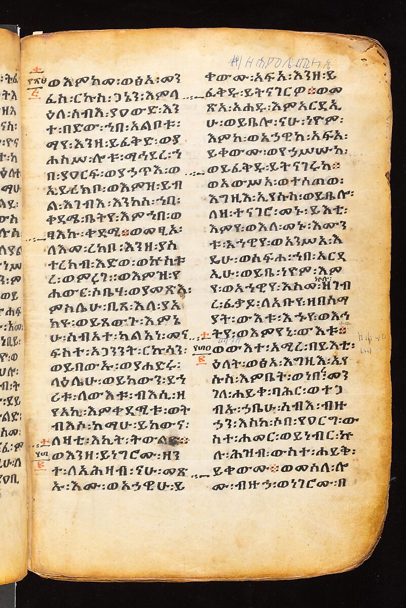 Book of the Gospels, Northern Highlands artist, Parchment (vellum), acacia wood, tempera, ink