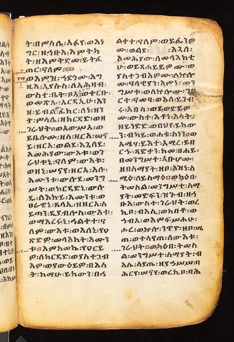 Book of the Gospels, Northern Highlands artist, Parchment (vellum), acacia wood, tempera, ink