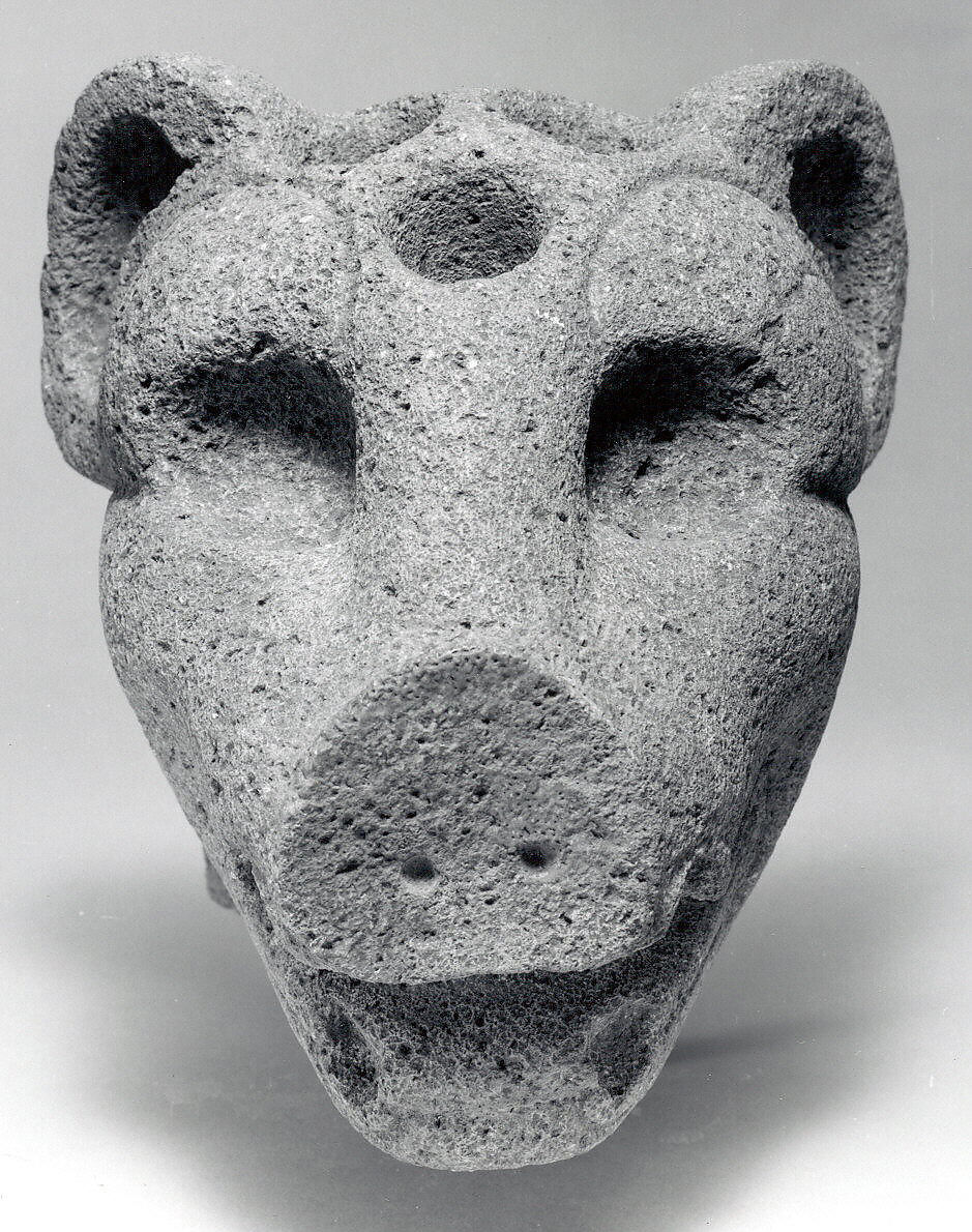 Peccary Head Hacha, Stone, Veracruz