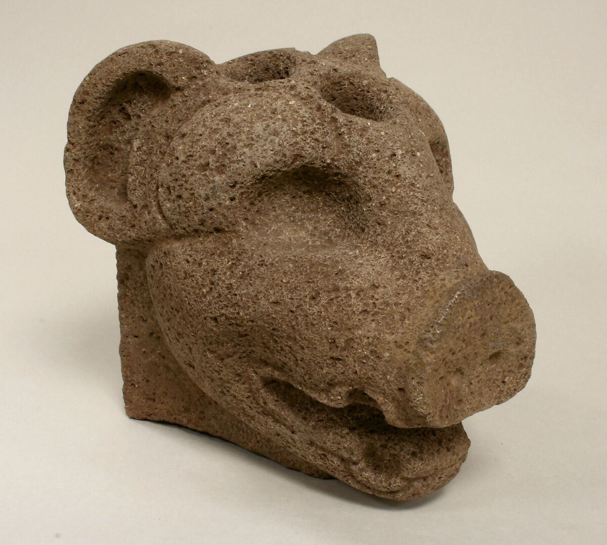 Peccary Head Hacha, Stone, Veracruz 