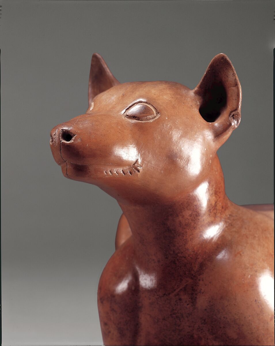 Seated dog, Colima artist(s), Ceramic, slip, Colima