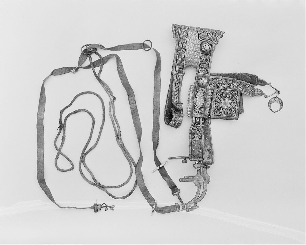 Saddle, Pair of Stirrups, Bridle and Trappings, Wood, pigskin, rawhide, iron, felt, calfskin, cowhide, velvet, gold, silver, wool, Tunisian