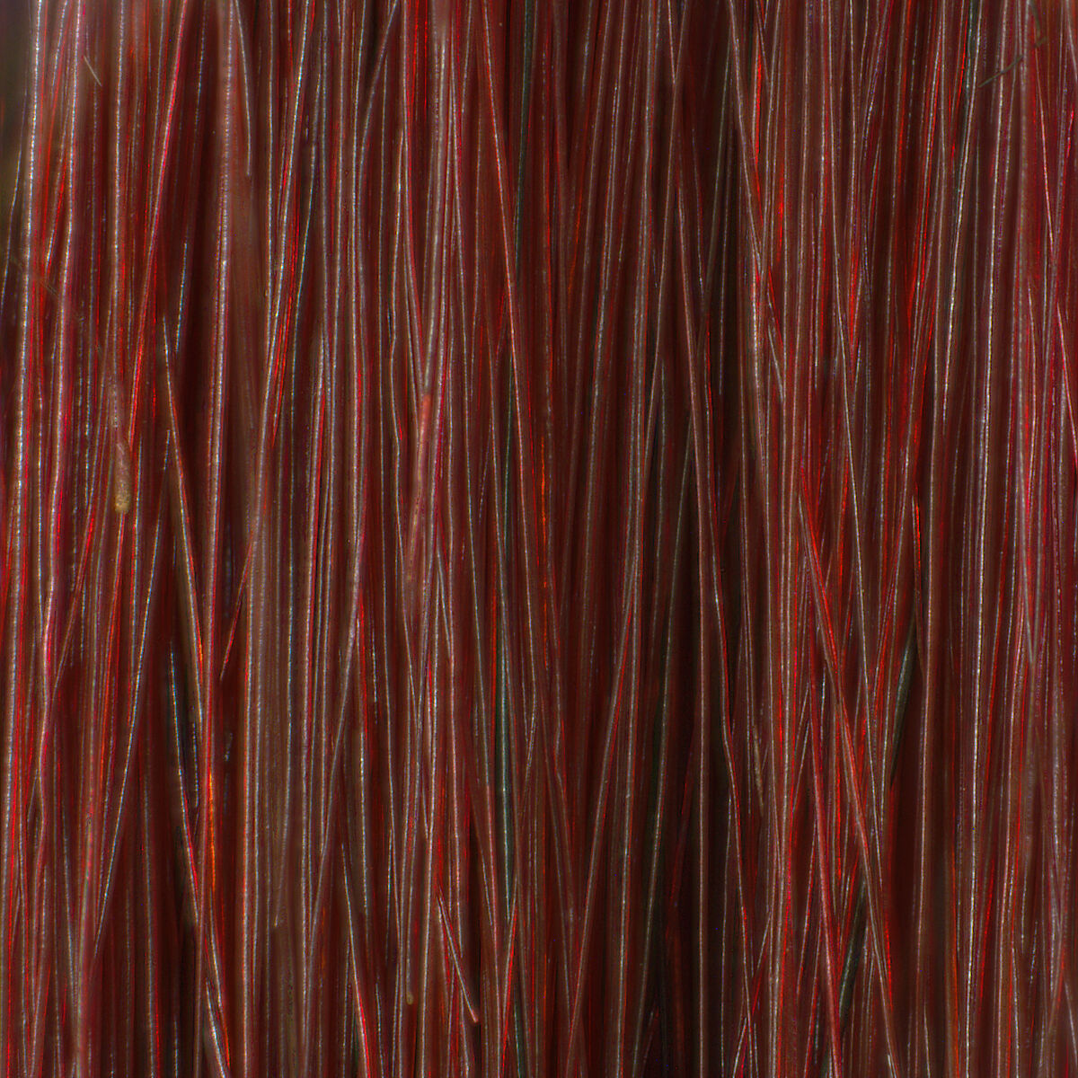 Saddle and Horse Trappings, Wood, horn, ivory, textile, silver, iron, cloisonné, hair, Korean