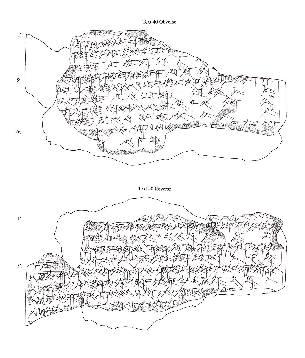 Cuneiform tablet: Shumma izbu, tablet 5, Clay, Seleucid