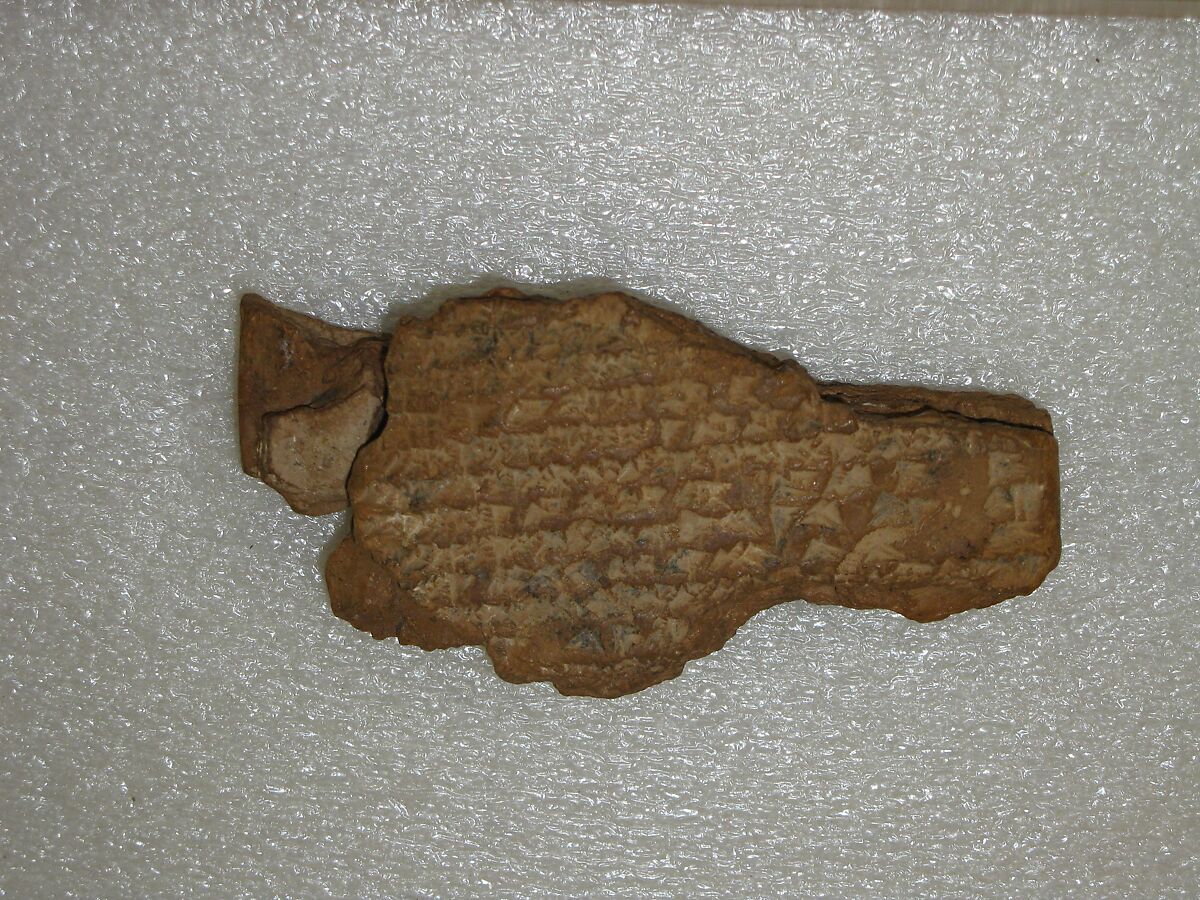 Cuneiform tablet: Shumma izbu, tablet 5, Clay, Seleucid 