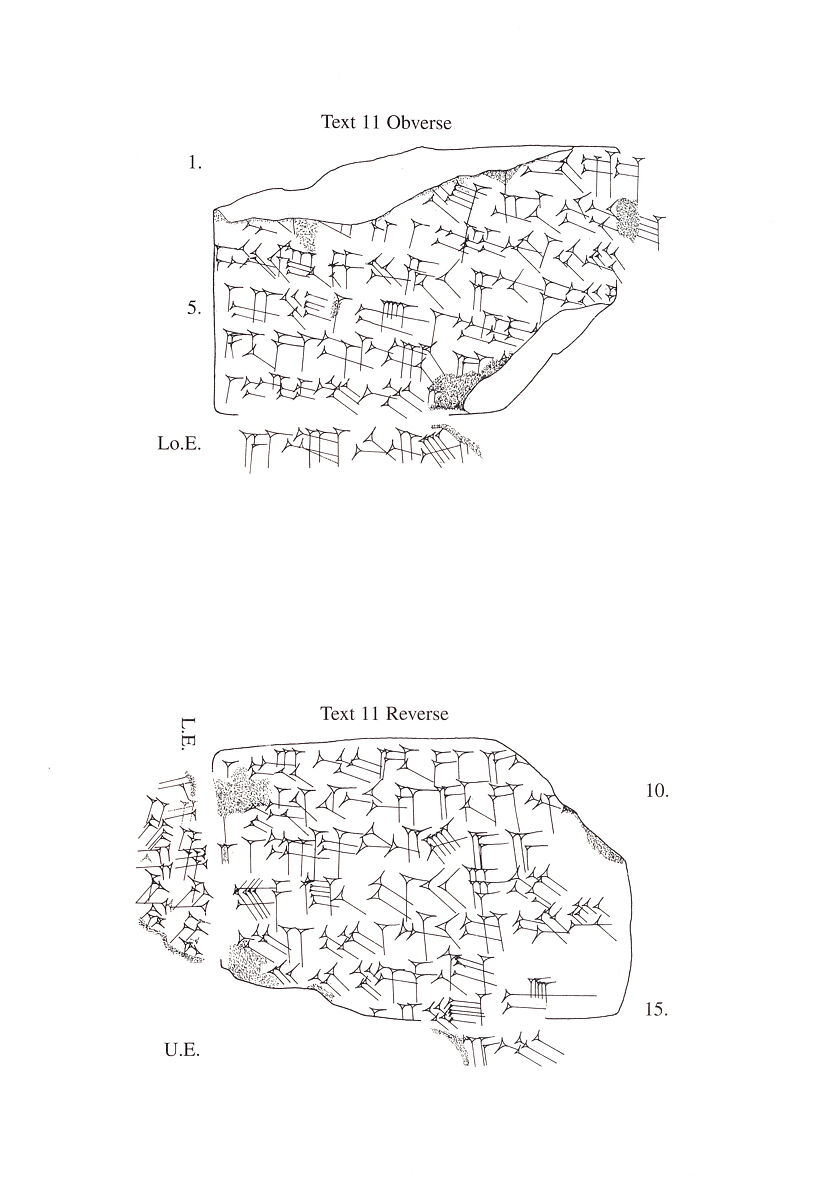 Cuneiform tablet: declaraton before witnesses (?), Esagilaya archive, Clay, Babylonian