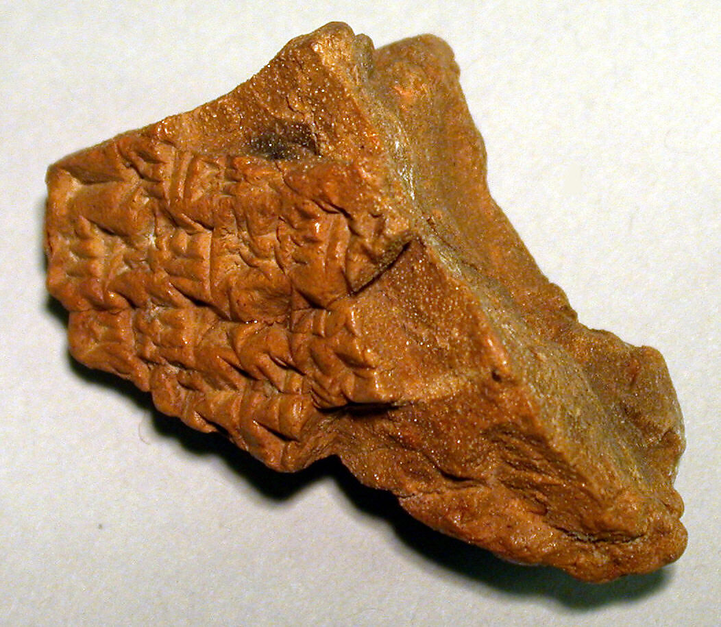 Cuneiform tablet: unidentified fragment, Clay 