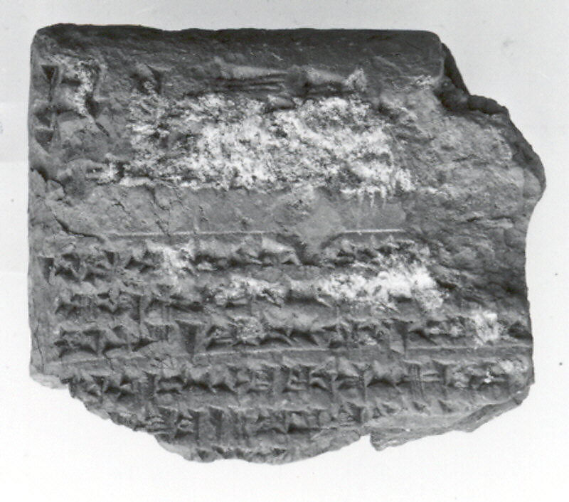 Cuneiform tablet: Shumma alu, tablet 17, Clay 