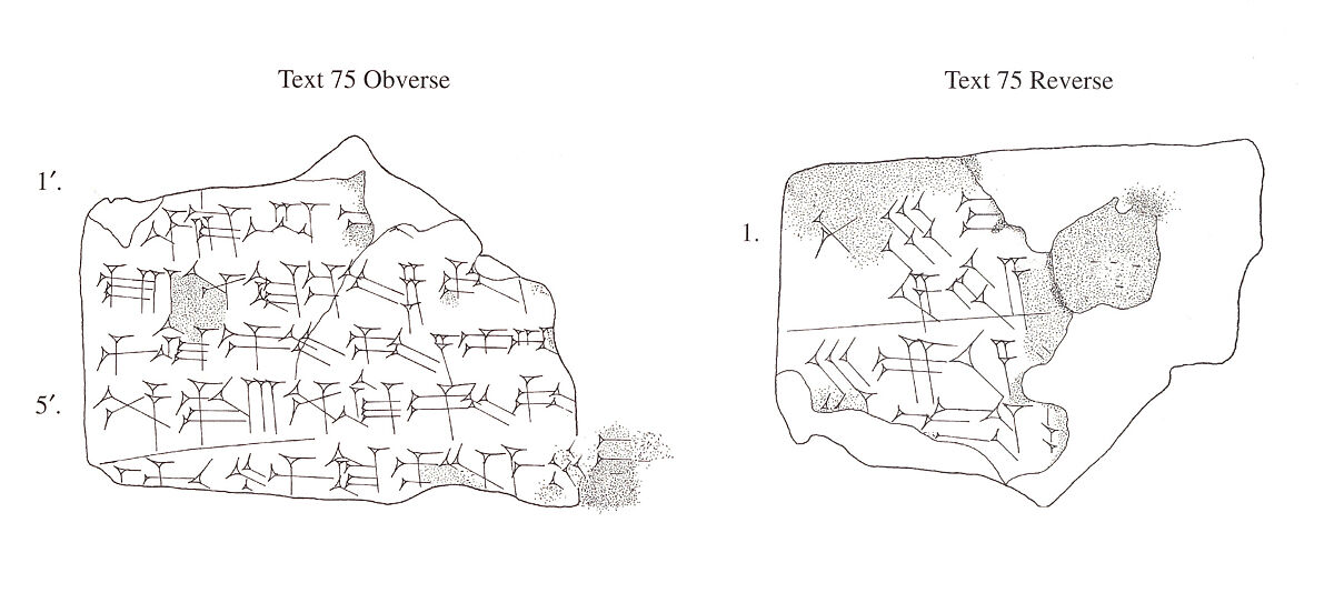 Cuneiform tablet: record of allocations of animal fodder, Ebabbar archive, Clay, Babylonian