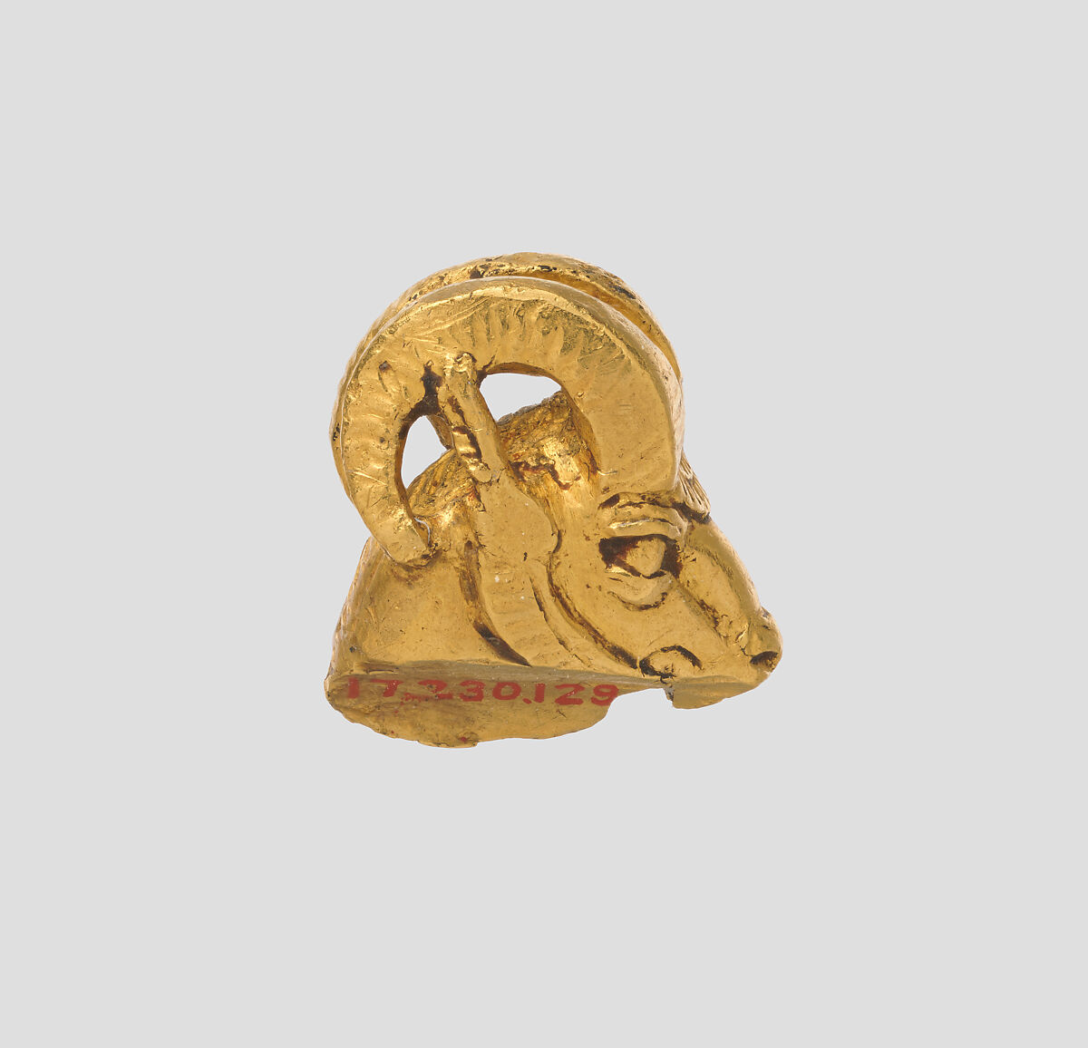 Head of a wild ram, Gold, Achaemenid