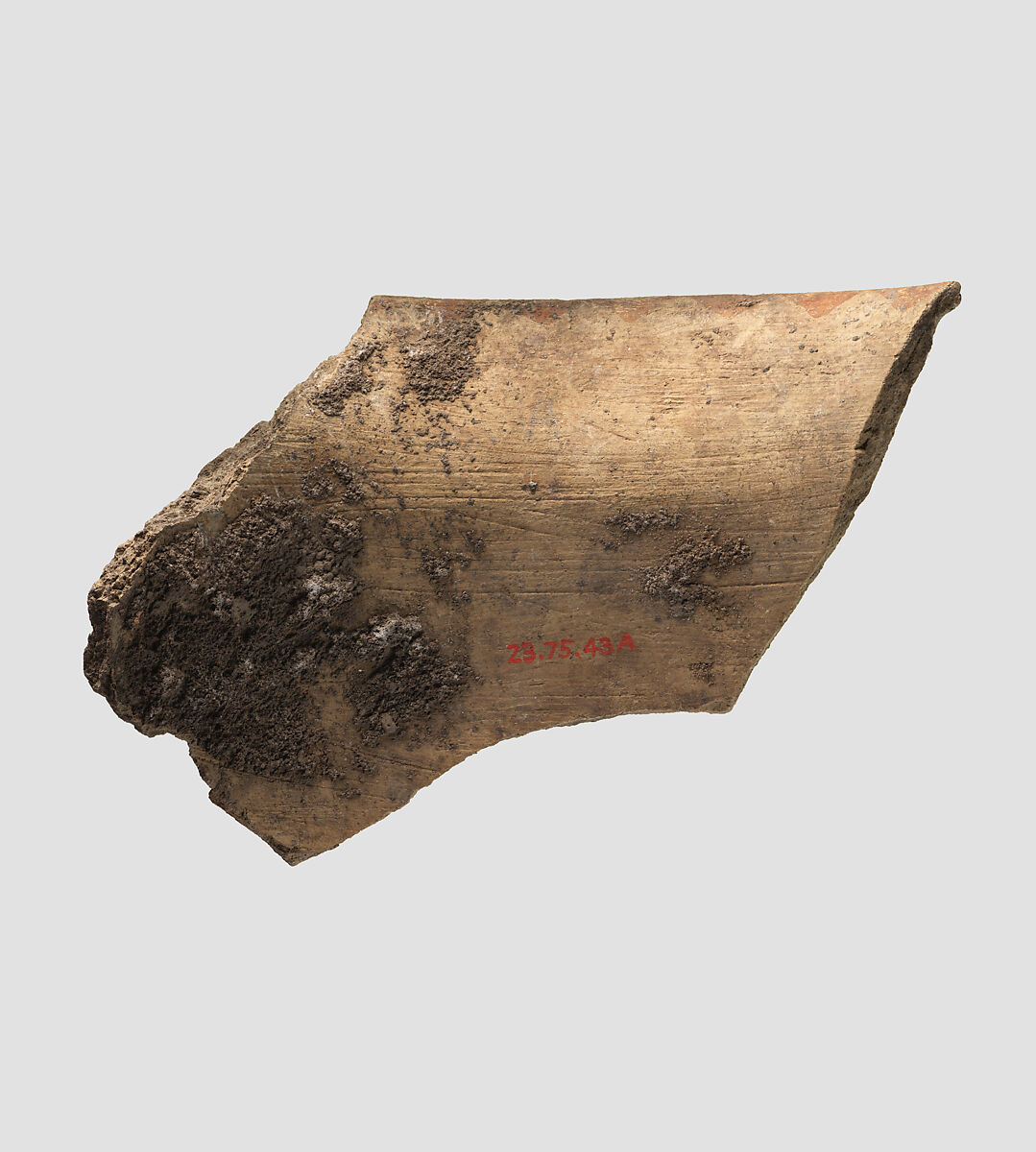 Sherd, Ceramic, paint, Samarra