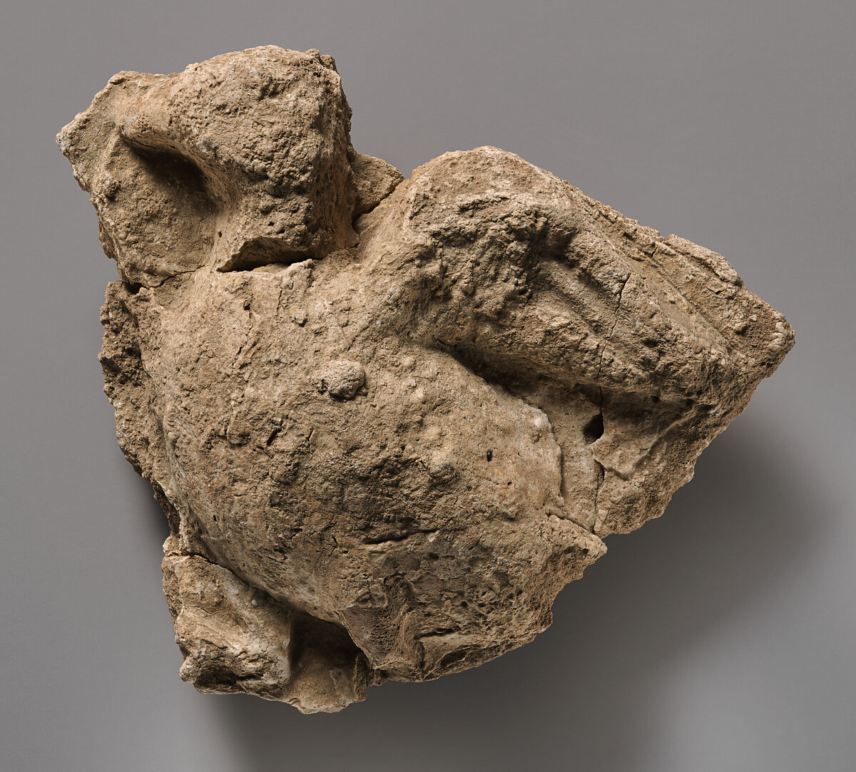 Fragment of a wall decoration with a flying bird, Stucco, Sasanian 
