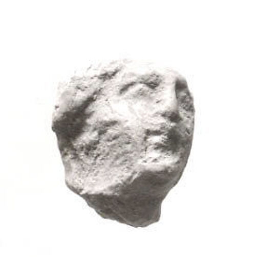 Fragment of head