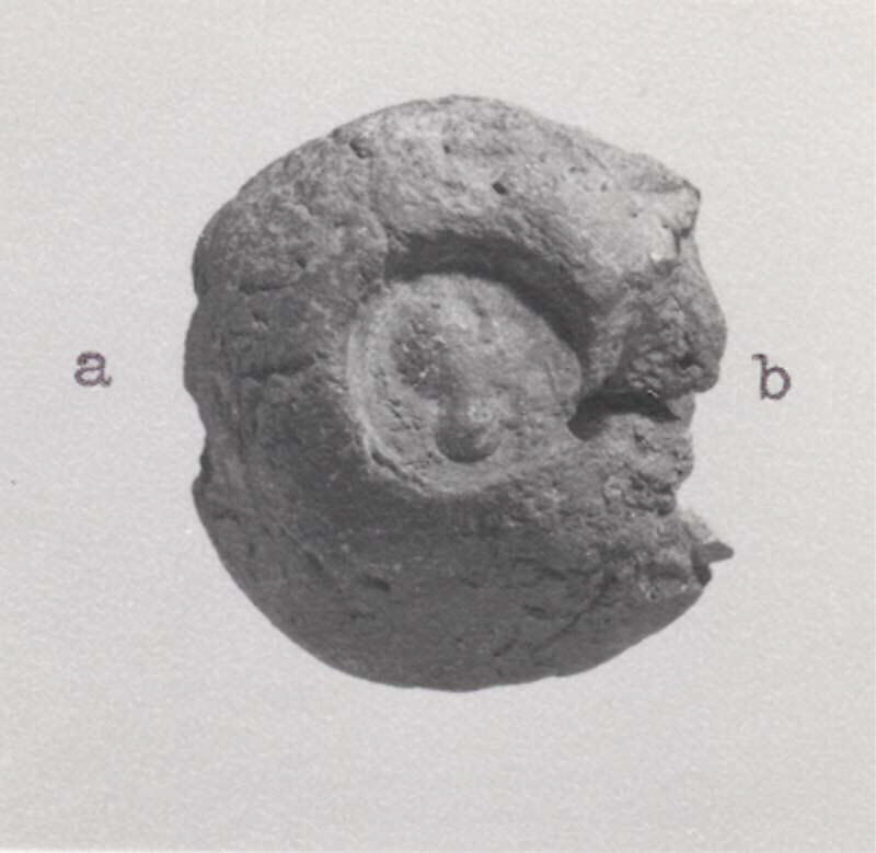 Sealing, Un-baked clay, Sasanian 