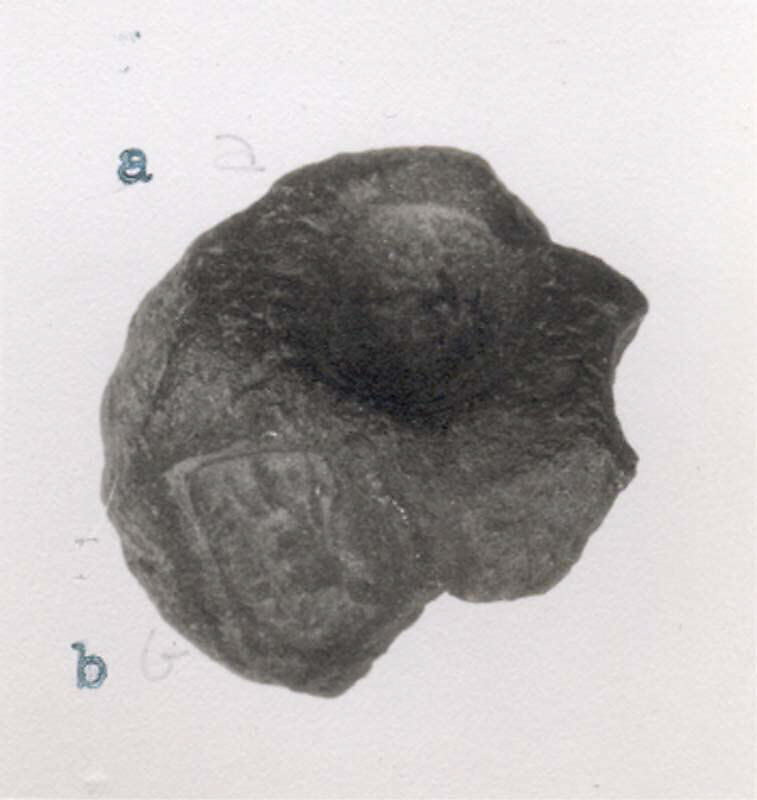 Sealing, Un-baked clay, Sasanian 