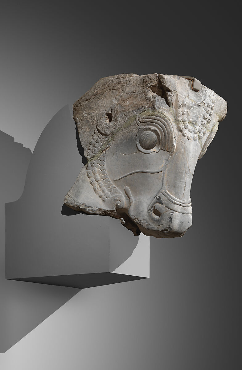 Bull's head from column capital, Limestone, Achaemenid