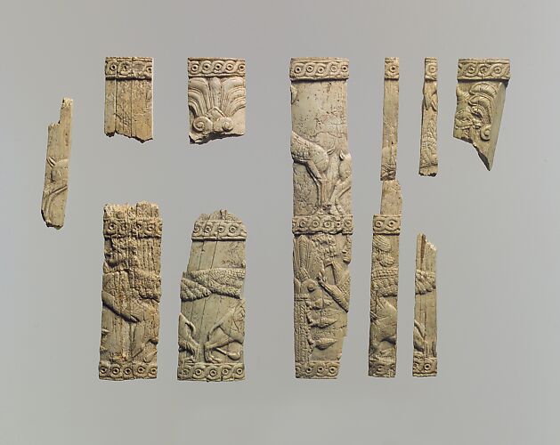 Pyxis fragments