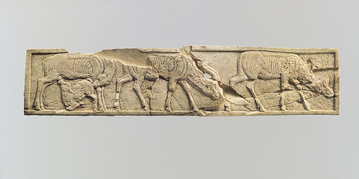 Panel, Ivory, Iran 