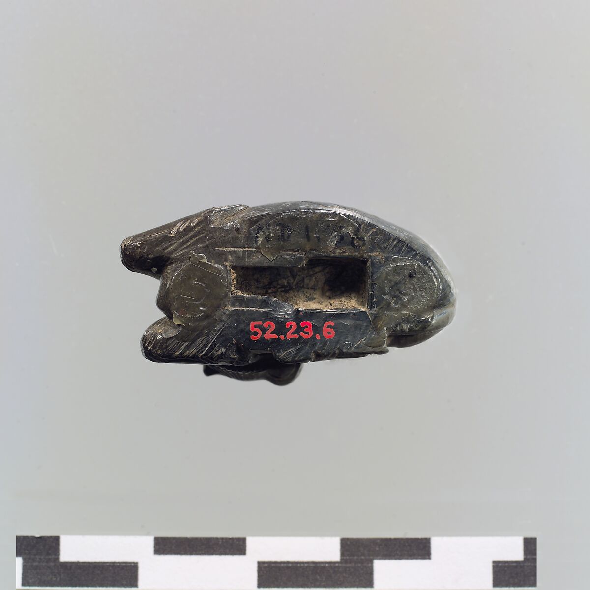 Reclining calf: lid attachment, Ivory, Assyrian