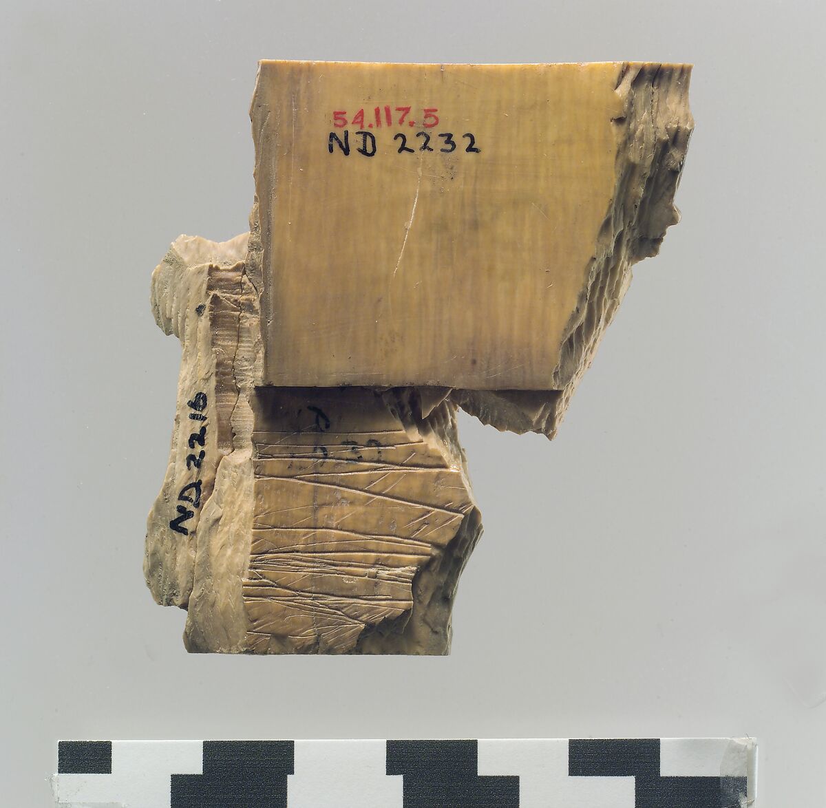 Cylindrical box fragment with female figures, Ivory, Assyrian