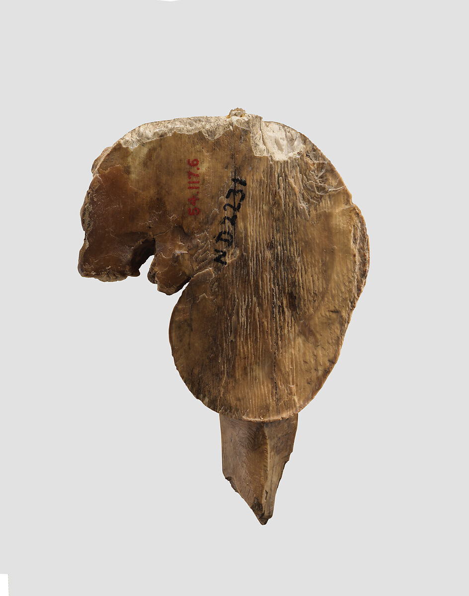 Head and foreleg of a snarling lion, Ivory, Assyrian