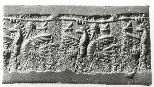 Cylinder seal with monsters
