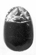 Scarab seal