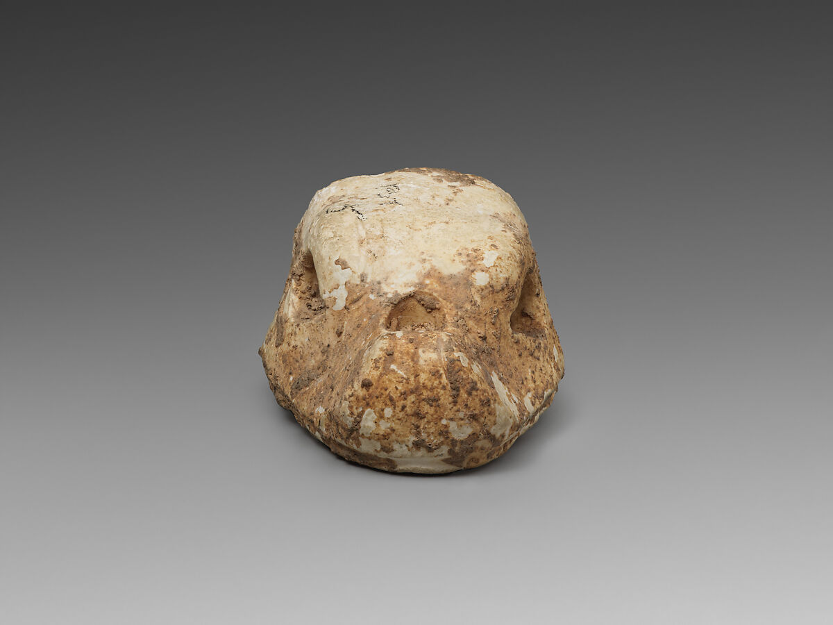 Head of mushhushshu, Stone, Assyrian