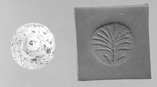 Stamp seal (conoid knob) with plant, Faience, Neo-Assyrian, Iranian, or Syro-Anatolian 