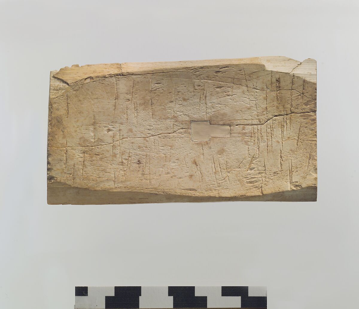 Furniture plaque carved in relief with a stag grazing among plants, Ivory, Assyrian