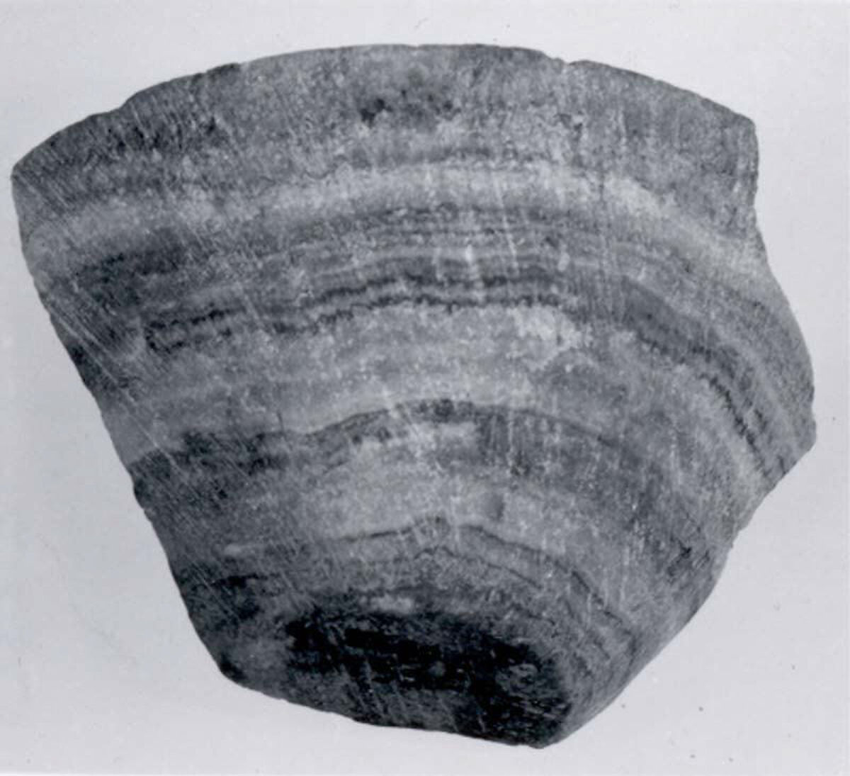 Cup fragment, Alabaster, Indus 
