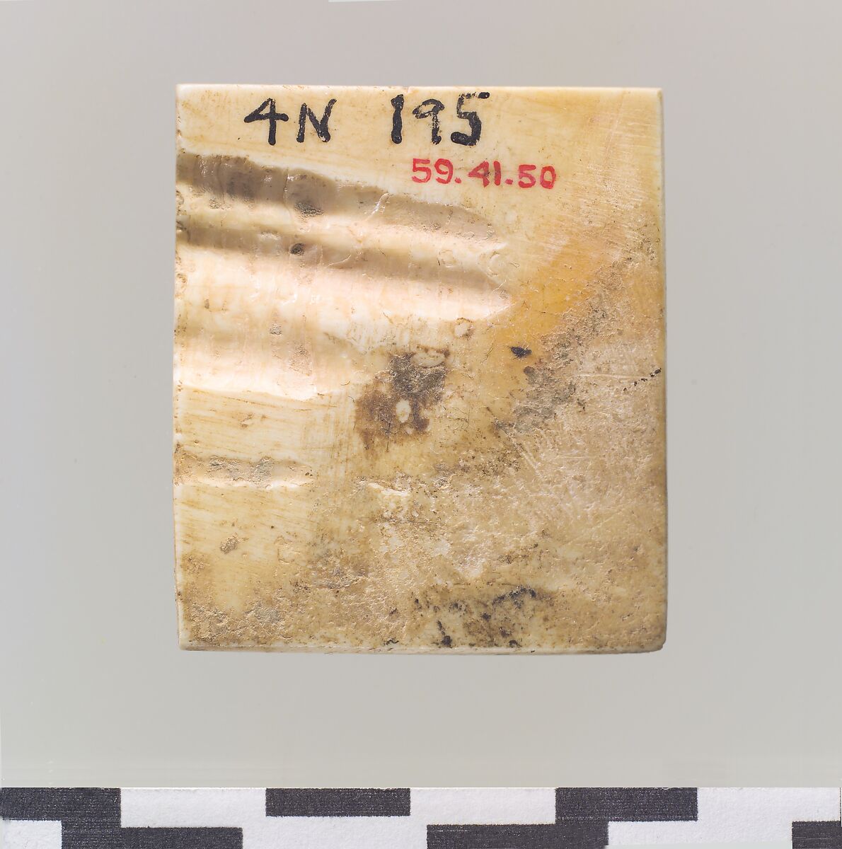 Inlay: seated male with cup and palm frond, Shell, Sumerian