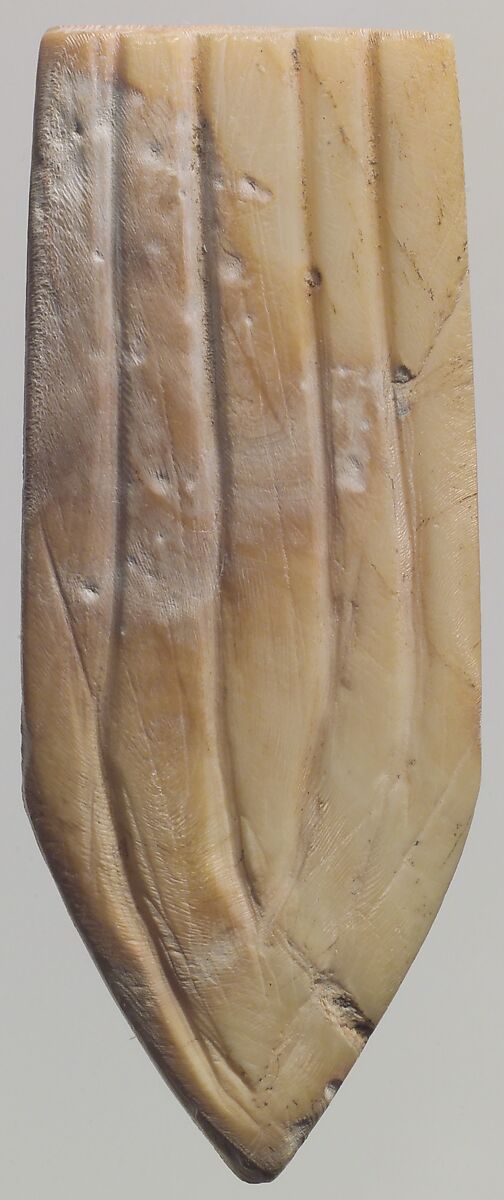 Shell fragment, Shell, Sumerian 