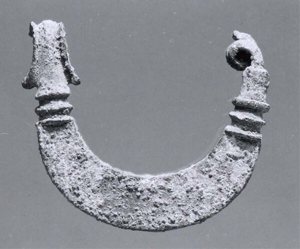 Fibula