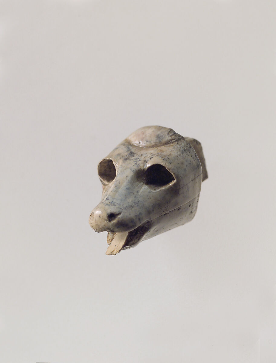Animal head carved in the round, Ivory, Assyrian 
