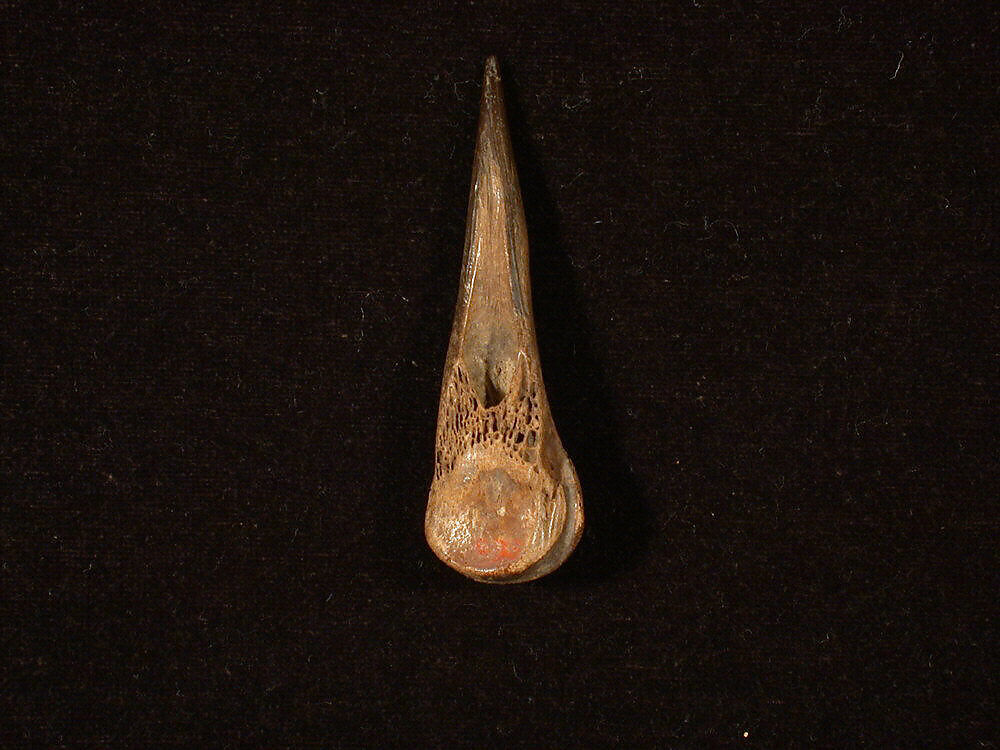 Awl, Bone, Iran 