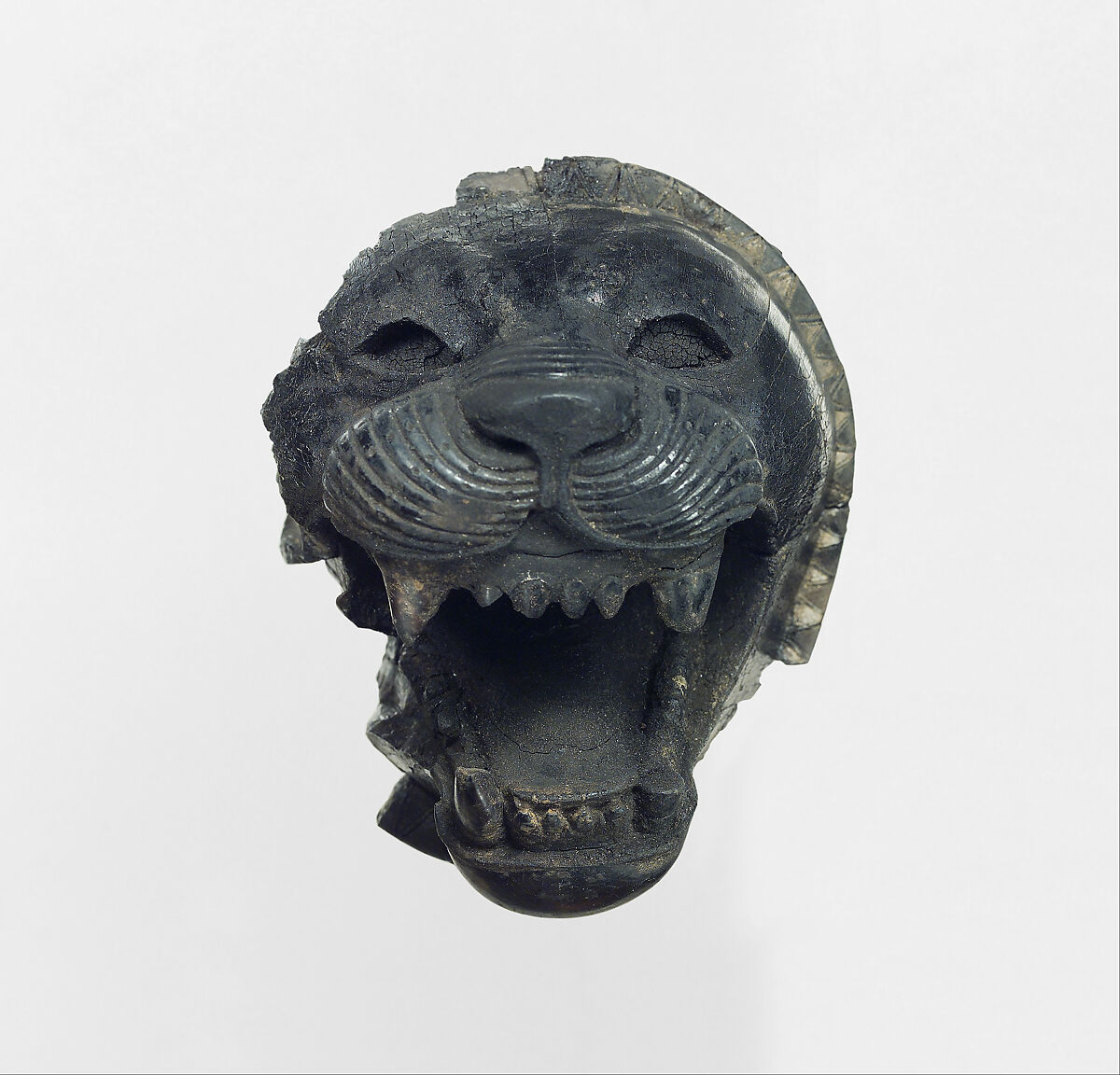 Furniture element carved in the round with the head of a roaring lion, Ivory, Assyrian 