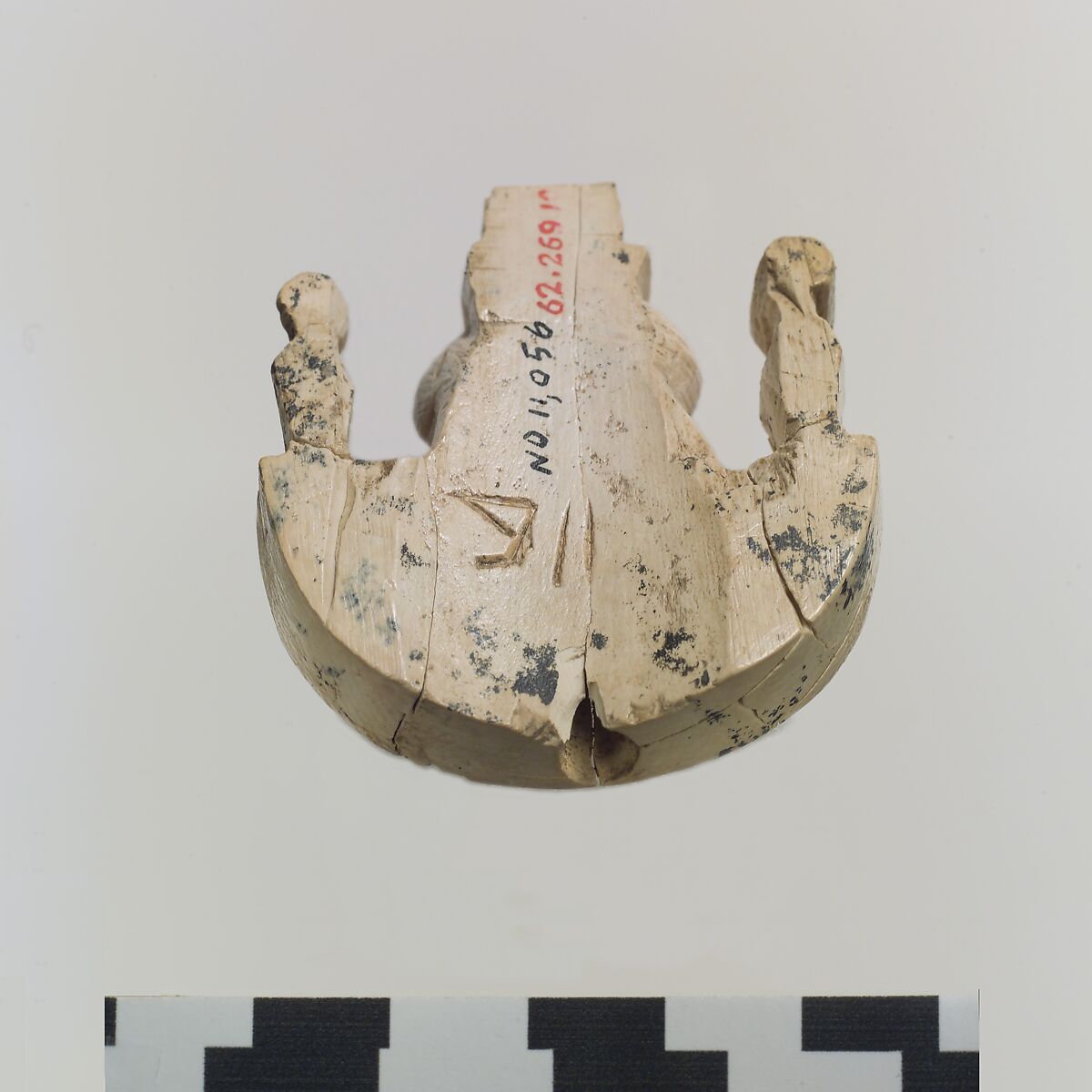 Openwork furniture plaque with the head of a feline, Ivory, Assyrian