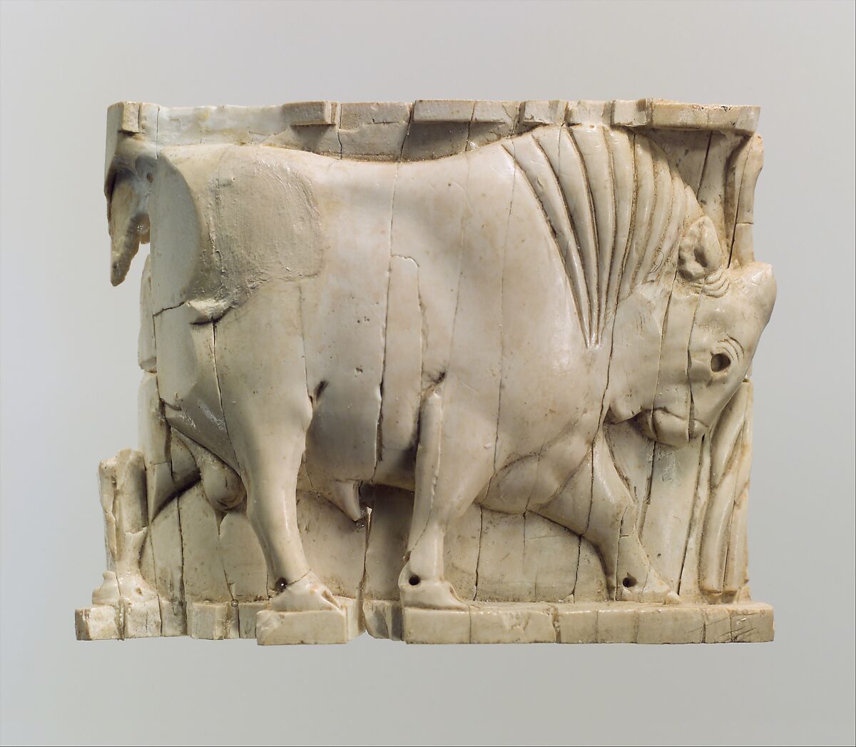 Furniture or cosmetic box plaque carved in relief with a striding bull, Ivory, Assyrian 