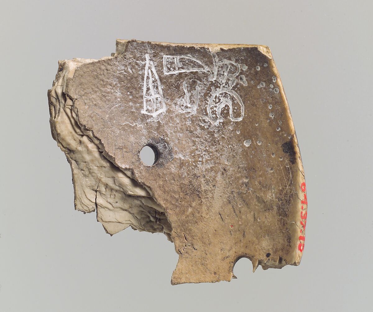 Shell fragment, Shell, Assyrian 