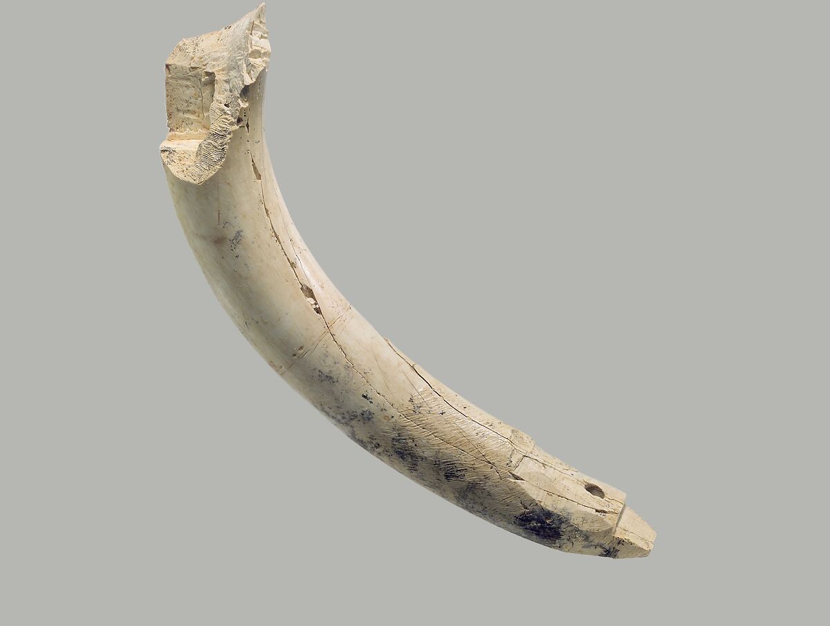 Furniture element made from a hippopotamus incisor, Ivory (hippopotamus), Assyrian 