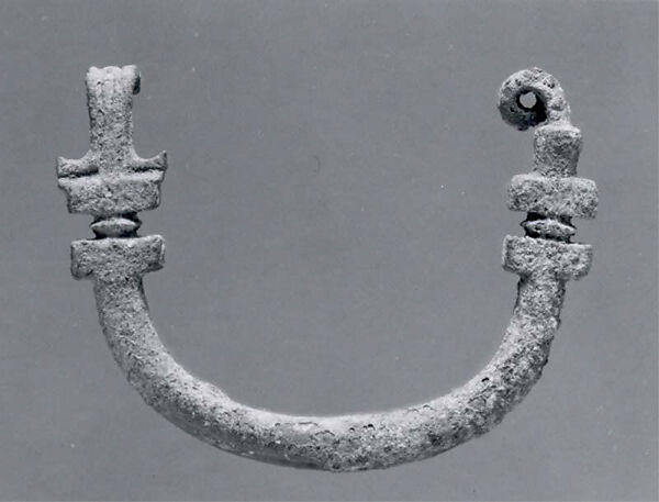 Fibula