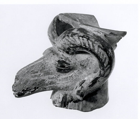 Fragment of a rhyton in the shape of a ram's head