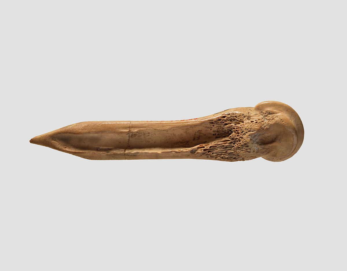Awl (?), Bone, Ghassulian
