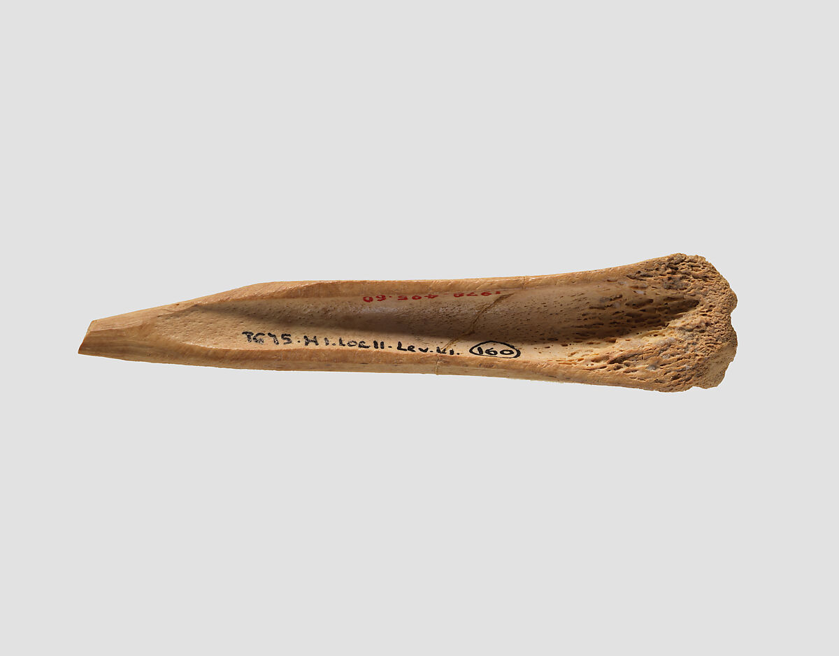 Awl (?), Bone, Ghassulian