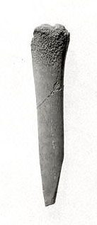 Awl (?), Bone, Ghassulian 