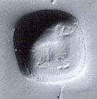 Stamp seal, Bronze, Sasanian 