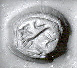 Stamp seal (scarab) with animal
